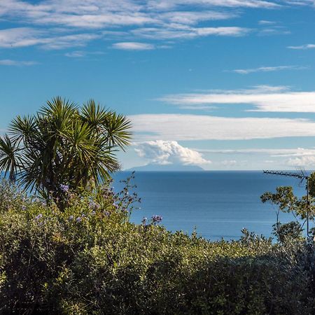Belle View - Stay Waiheke Onetangi Εξωτερικό φωτογραφία
